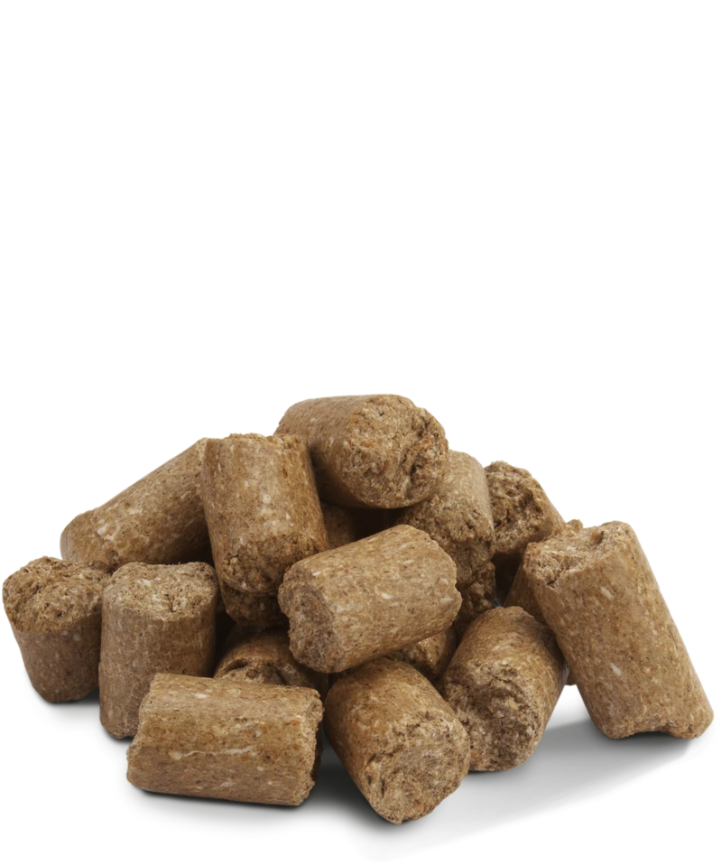 RatNoMore Pellets – Rodent Bait for Rat Control - Image 3